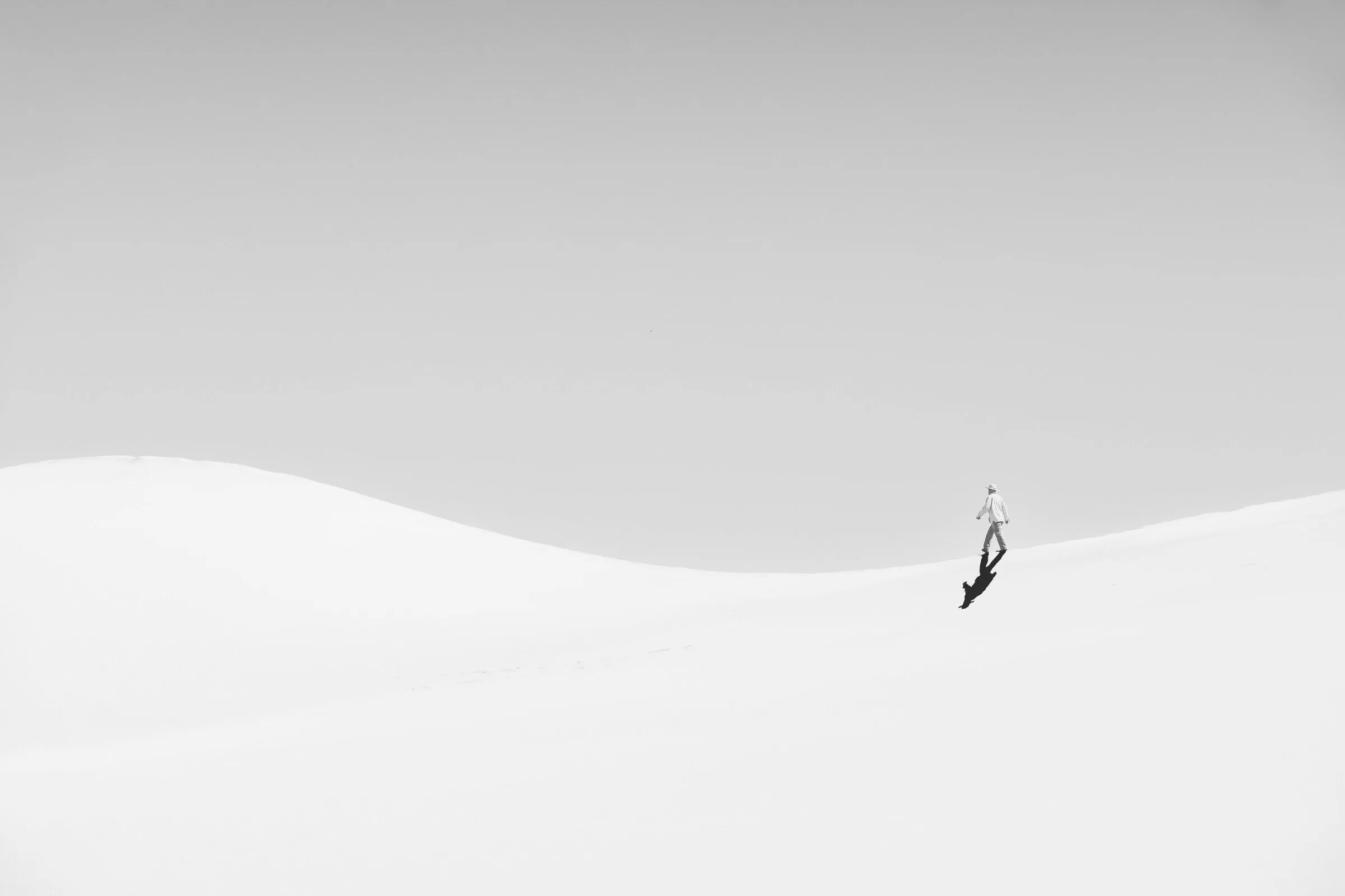 Scott Seibold Photography